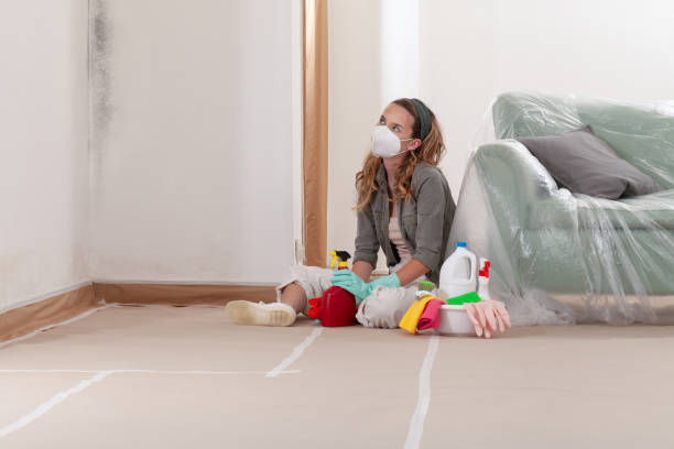 Reliable Mold Remediation contractor in Edmonds, WA by 24 Hour Mold Removal